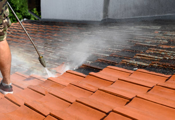 Best Roof Power Washing Services  in Delavan Lake, WI